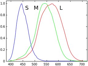 Wavelength per photoreceptor