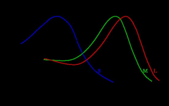 Graph derived by Bowmaker & Dartnall (1980)